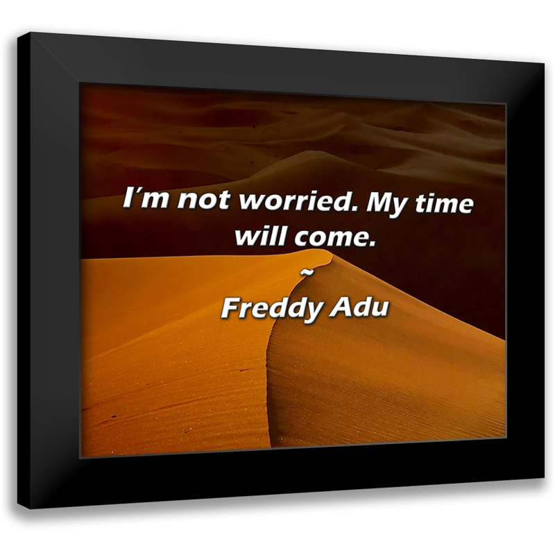 Citation de Freddy Adu: Je ne suis pas inquiet. Mon heure viendra.