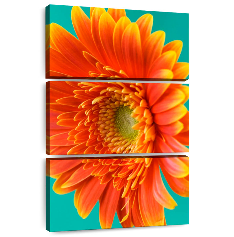 Harnek Orange Gerbera Daisy II