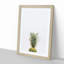 Its Pineapple Time - Framed Print-55576074-55576076