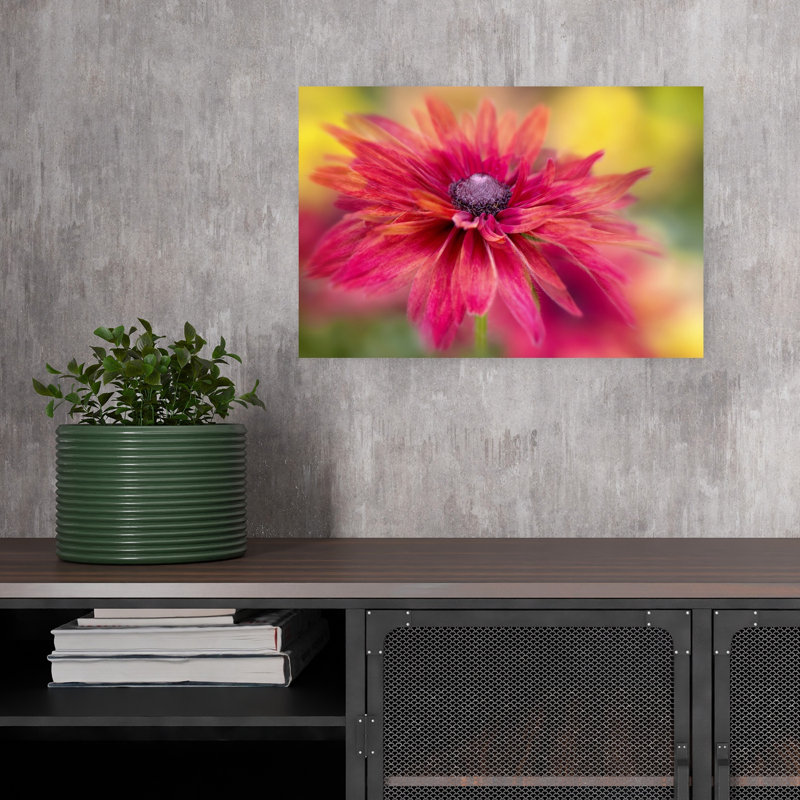 Vibrant Magenta Bloom Colorful Vibrant Flower Nature Wall Art Print 1 Piece Wrapped Canvas Wall Art, 30.48cm H x 45.72cm W