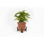 Mari Weather Resistant Planter Feet