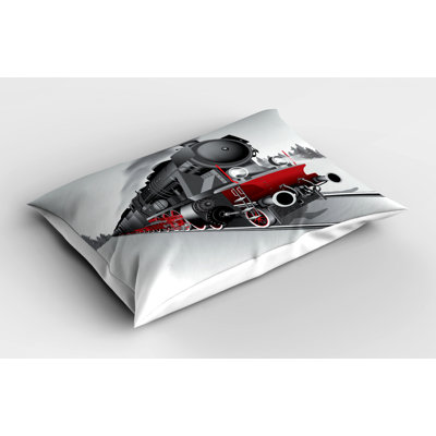 Steam Polyester Sham Set