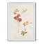 Cadre photo « wild simple wallflowers ii », reproduction sur toile-48413253-48413252