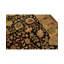 Wool Floral Area Rug in Black/Ivory