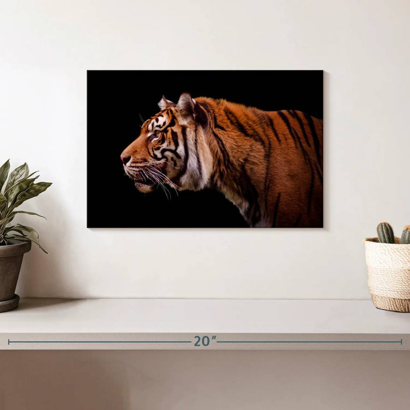 Brampt Royal Tiger, 8" H x 12" W