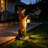 Fox Garden Statue