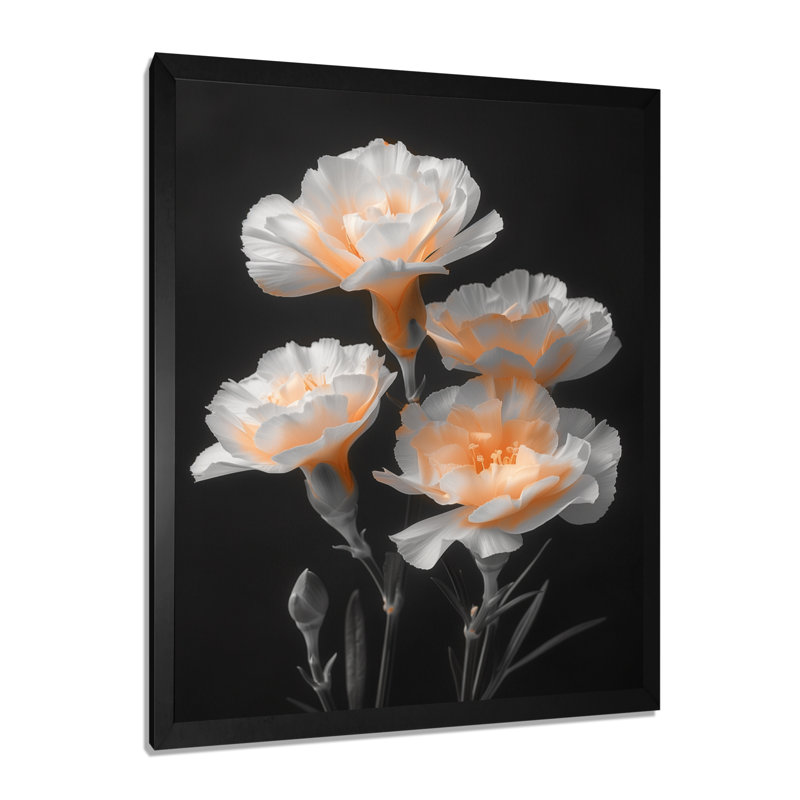 Monochromes blancs et noirs, œillets parfumés I - œillets, art mural, Toile encadrée noire simple