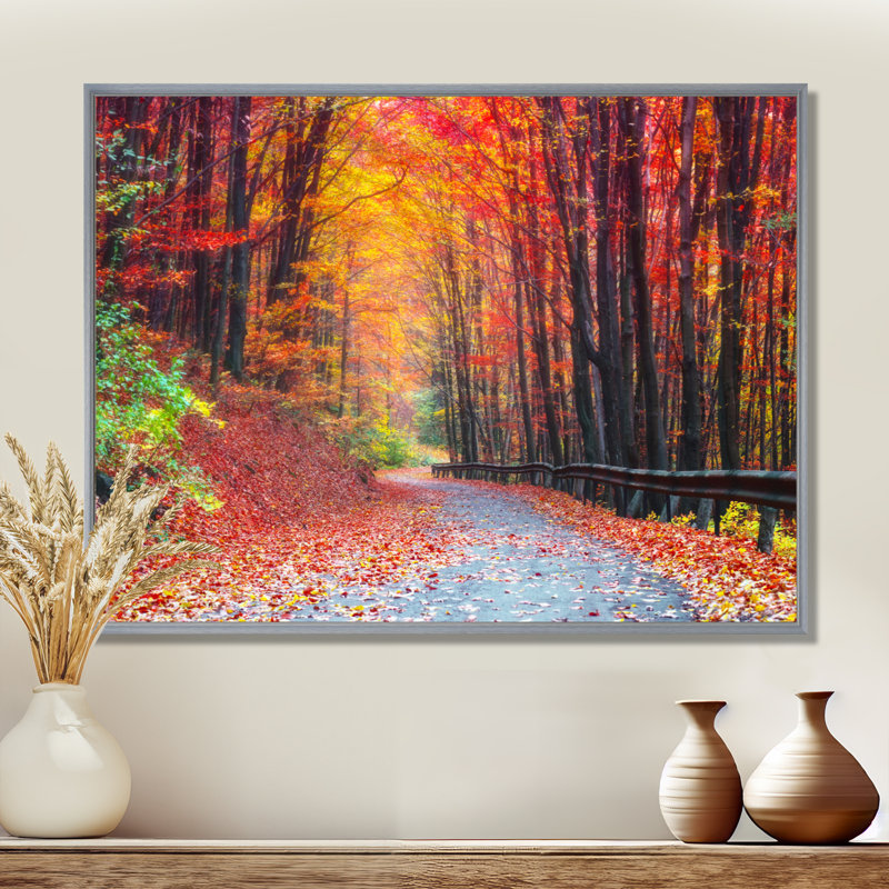 « Road In Beautiful Autumn Forest » - reproduction de photo, H 16 po x l 32 po, Cadre flottant, Argent