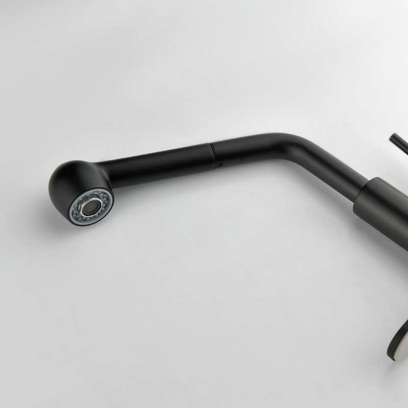 Robinet d'évier de cuisine à poignée simple avec accessoires, Noir mat