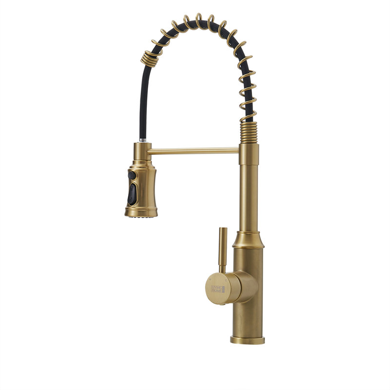 Belfry Kitchen Nolhan Pull Down Kitchen Faucet, Gold