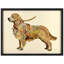 Golden Retriever encadré sur papier