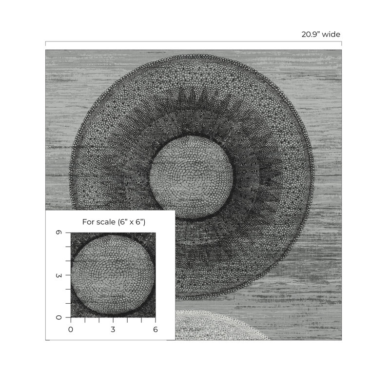 Papier peint autocollant grand cercle Harry & Grace