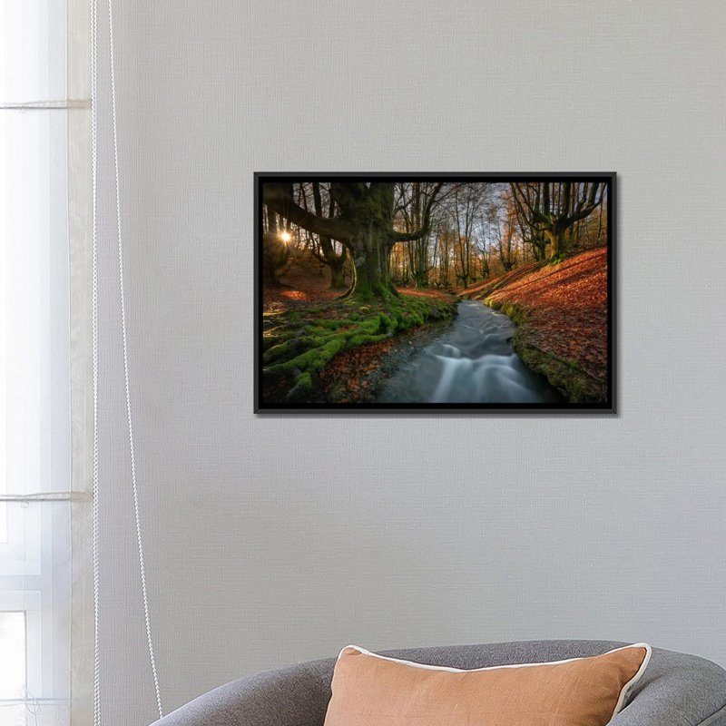« magique forest », reproduction de photo sur toile, H 18 po x l 26 po x P 1,5 po, Toile avec cadre noir, Pas de tapis