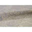 Ziegler Wool Oriental Area Rug