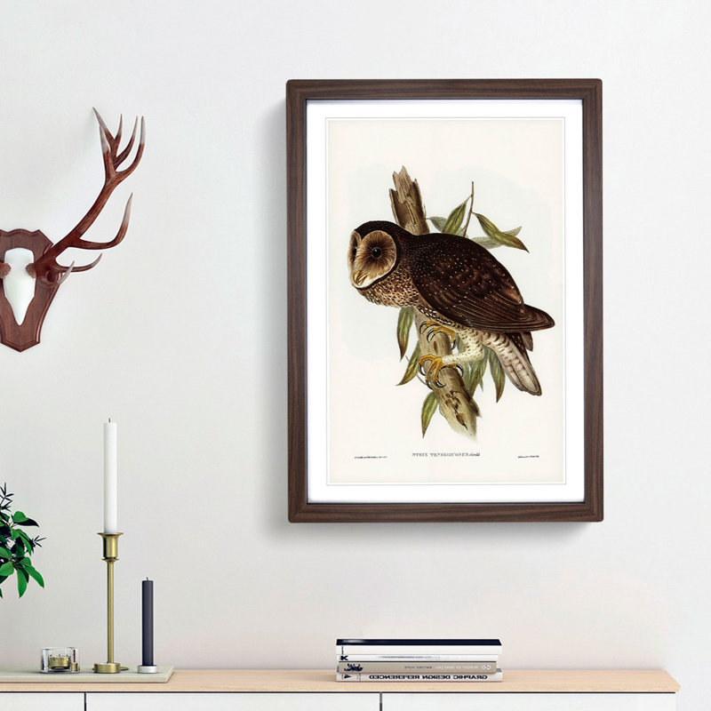 Sooty Owl by Elizabeth Gould - Picture Frame Painting Print, 65cm H x 48cm W x 2cm D, Walnut Framed