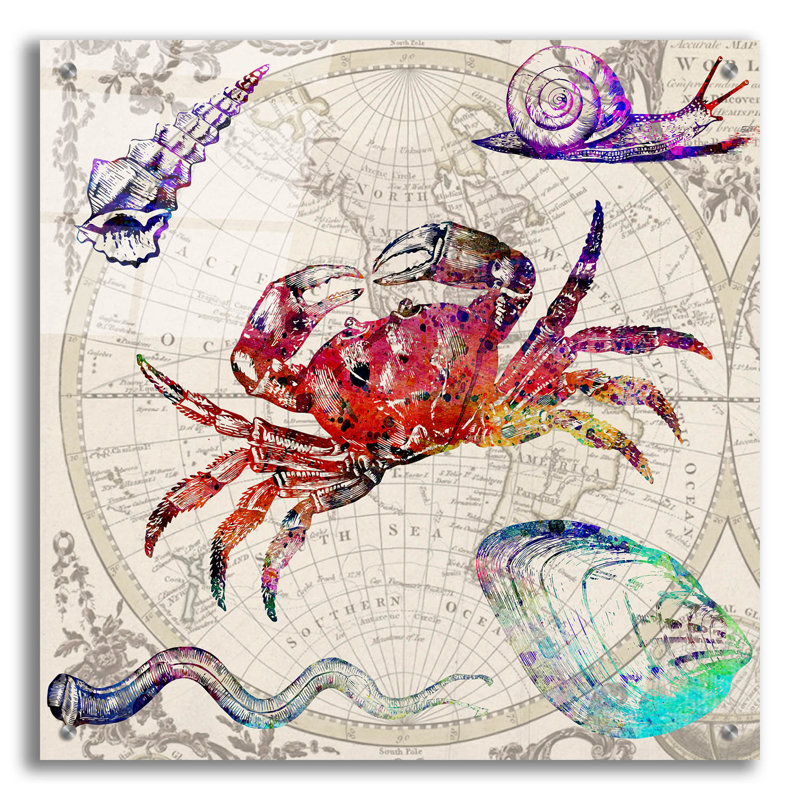 Art épique «Crab Map» par Mark Ashkenazi, verre acrylique «Crab Map» par Mark Ashkenazi, H 24 po x l 24 po
