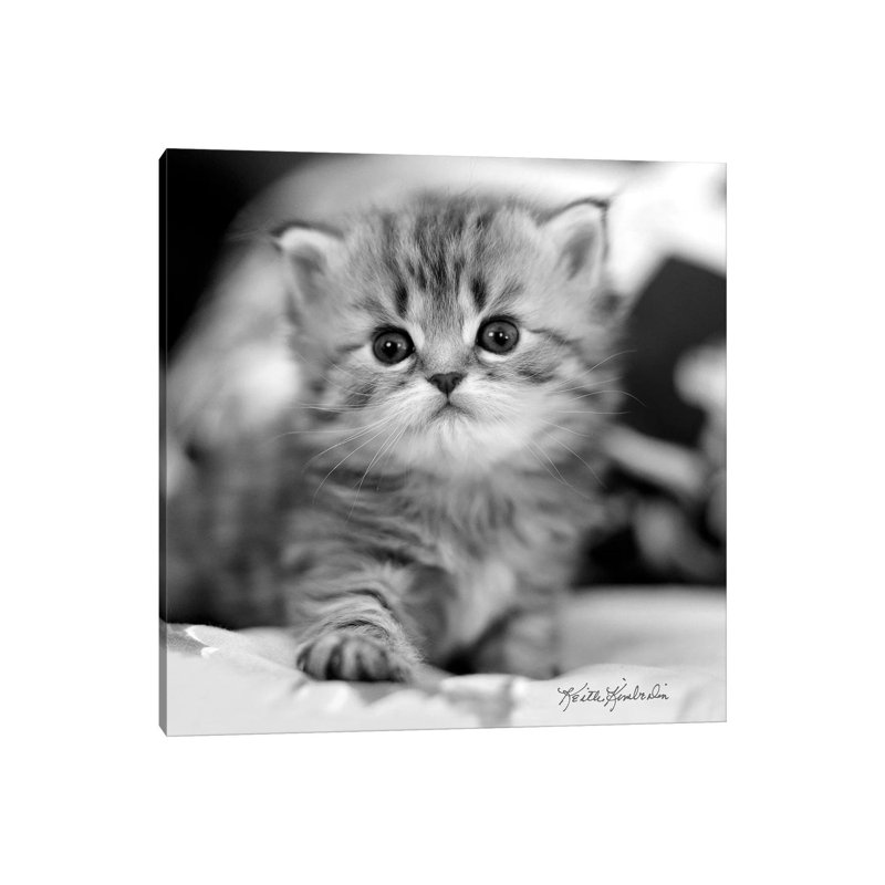 Mine by Keith Kimberlin - Print on Canvas, Wrapped Canvas, 93.98 cm H x 93.98 cm W x 1.91 cm D