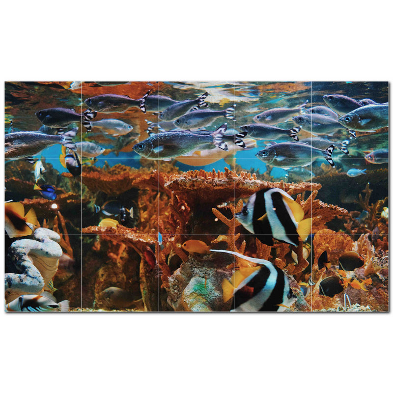 Corail photo 12 x 12