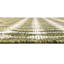 Tapis d'extérieur Green_Unique Loom Traliccio-1989265958