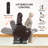 EONIX Dual Motor Lay Flat Power Lift Recliner Chair for Elderly, Electric Leather Lift Chairs for Adults, 400lbs Heavy Duty Power Recliner Lift Sofa with Heat and Massage, Dark Brown-117579653-129176067