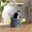 Velvet Elevated Pet Bed