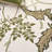 Jardin Hand Tufted Wool;Cotton Floral Indoor Rug-2116803059