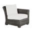 Rustic Patio Lounge Chair with Cushions-1110726972-1110718212-1110718211