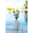 Olszewski Ranunculus Arrangement in Vase-1299292867
