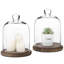 Khyanna 2 Piece Dome Cloche Set