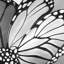 Monarch Wings Clos clos - reproduction encadrée mate pour la décoration intérieure-176830206-176830205
