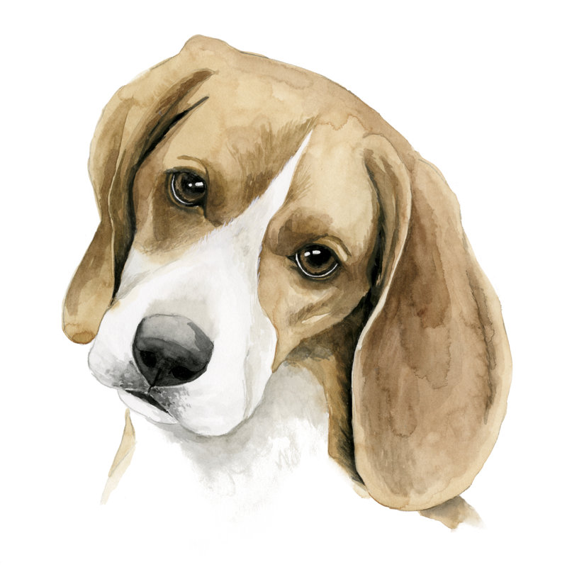 Human's Best Friend III by Grace Popp - Wrapped Canvas Painting, 51cm H x 51cm W