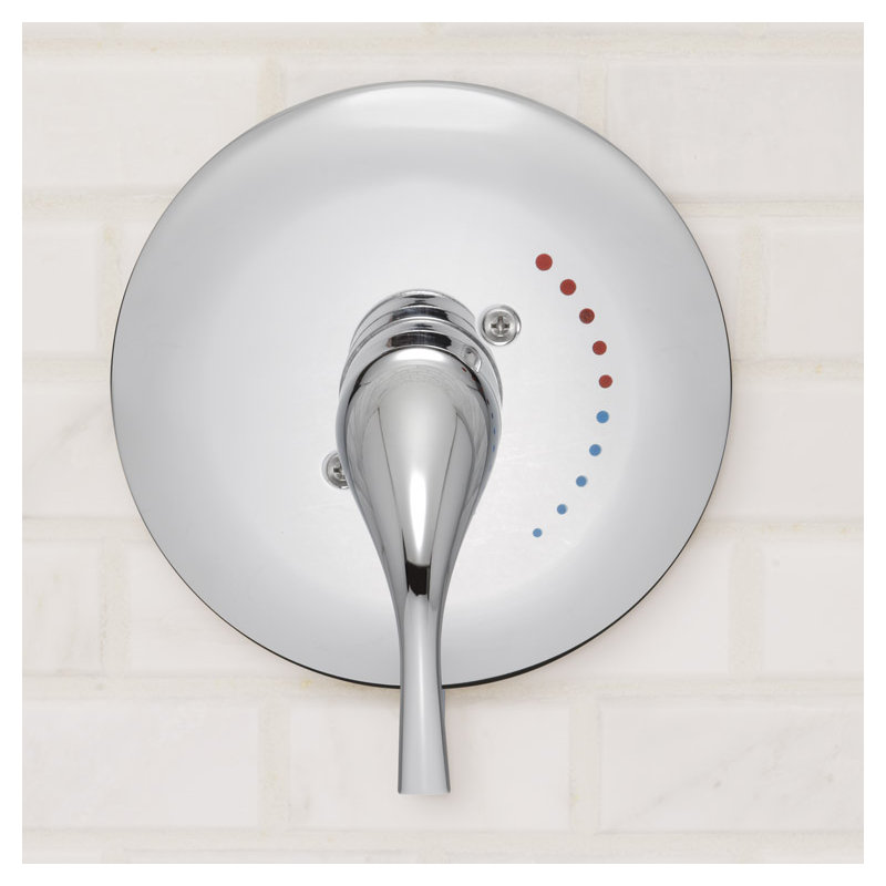 Echo Shower Valve Trim