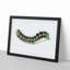 Illustration of a Green Caterpillar - Picture Frame Graphic Art Print-55641492-55641485