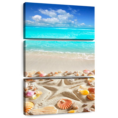 Gillard, paradis tropical, coquillages