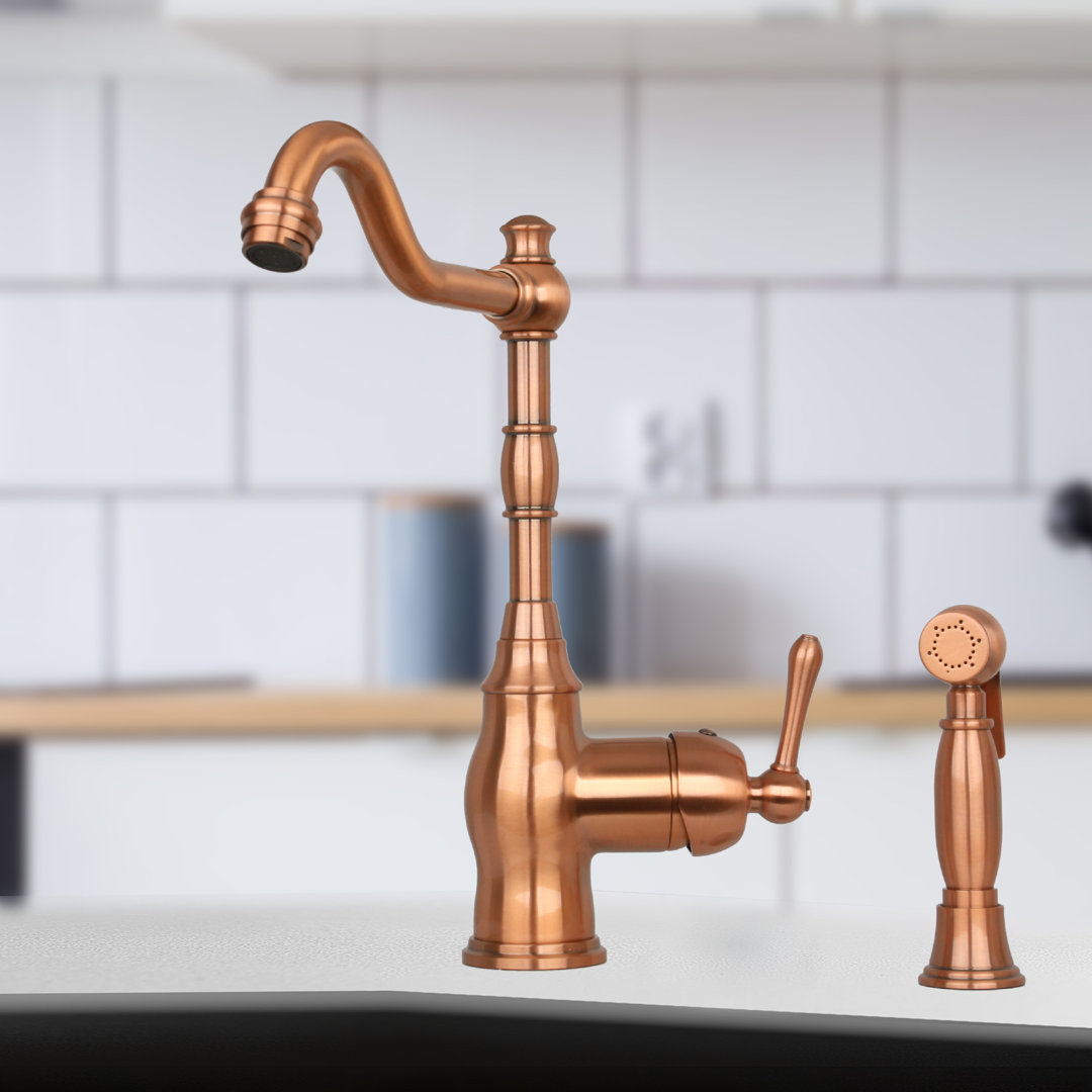 Nauxus Kitchen Faucet with Side Spray Nauxus