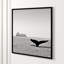 Majestic Orca' Framed Photographic Print