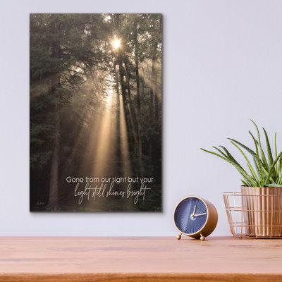  'Gone From Our Sight' by Lori Deiter Acrylic Glass Wall Art, 12" x 16"