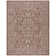 Amedee Performance Oriental Indoor/Outdoor Area Rug