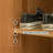 Modern minimalist shoe cabinet for storage