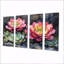 «Echeveria Elegans Succulent Mexico Bloomscape II» - - décoration murale succulente - art mural traditionnel Dec-1894958229-1894958232