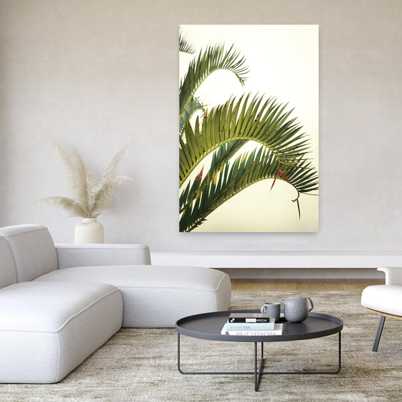 Contemporary Art Elegant Organic Abstract Succulent Nature Tropical Wall Art by Angelo Cerantola - Wrapped Canvas Print