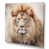 Wrapped Canvas