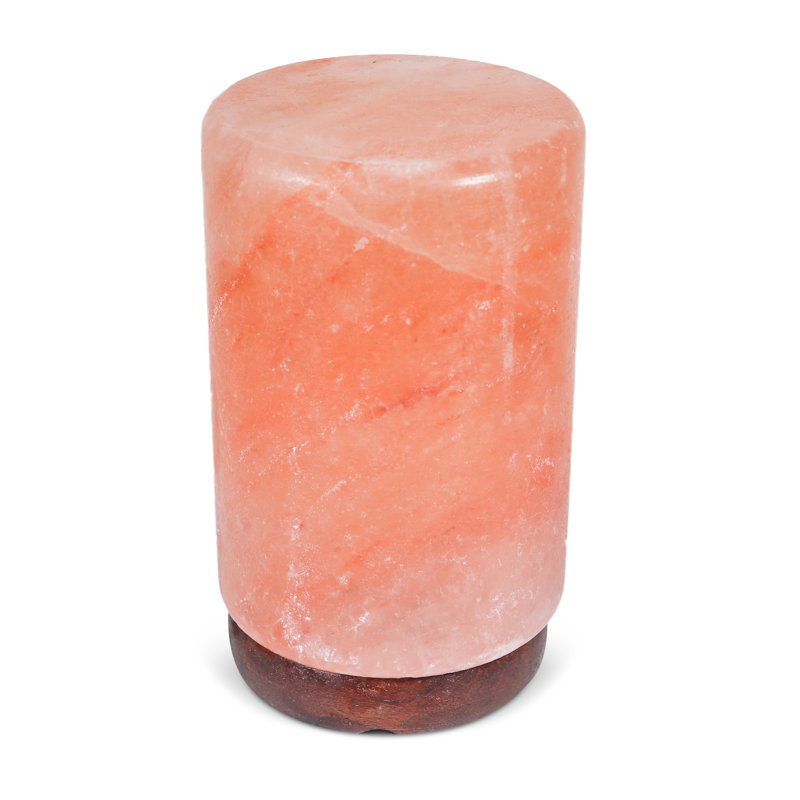 Sharrief 9 Lb. Novelty & Humor Themed Salt Lamp