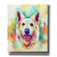 «Pop Art Swiss Shepherd» par Furbaby Affiliates, art mural sur toile-214660885
