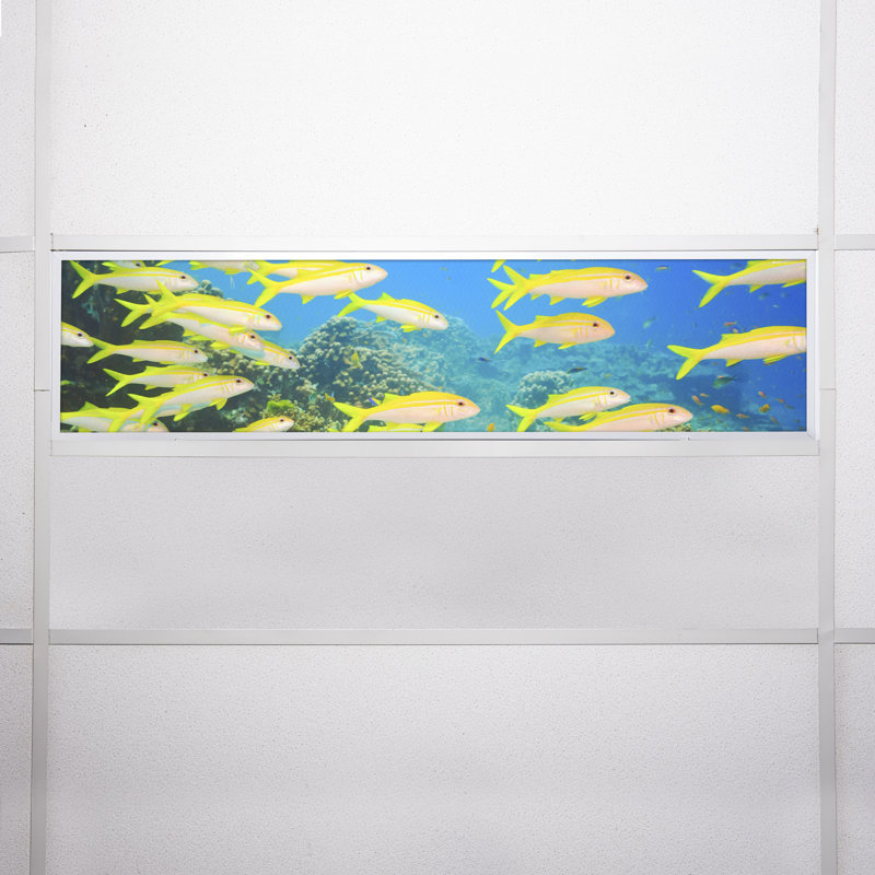 Ocean Rectangle Fixture Component Ceiling Light