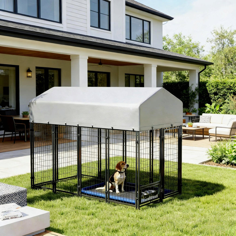 Chenil pour animaux spacieux et extérieur
