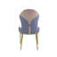 Ensemble de 2 chaises d'appoint élégantes