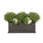 Berenice Handmade Window Box Planter-14486381