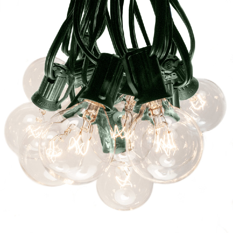 Alsip 50' Outdoor 50 - Bulb Globe String Light, Green