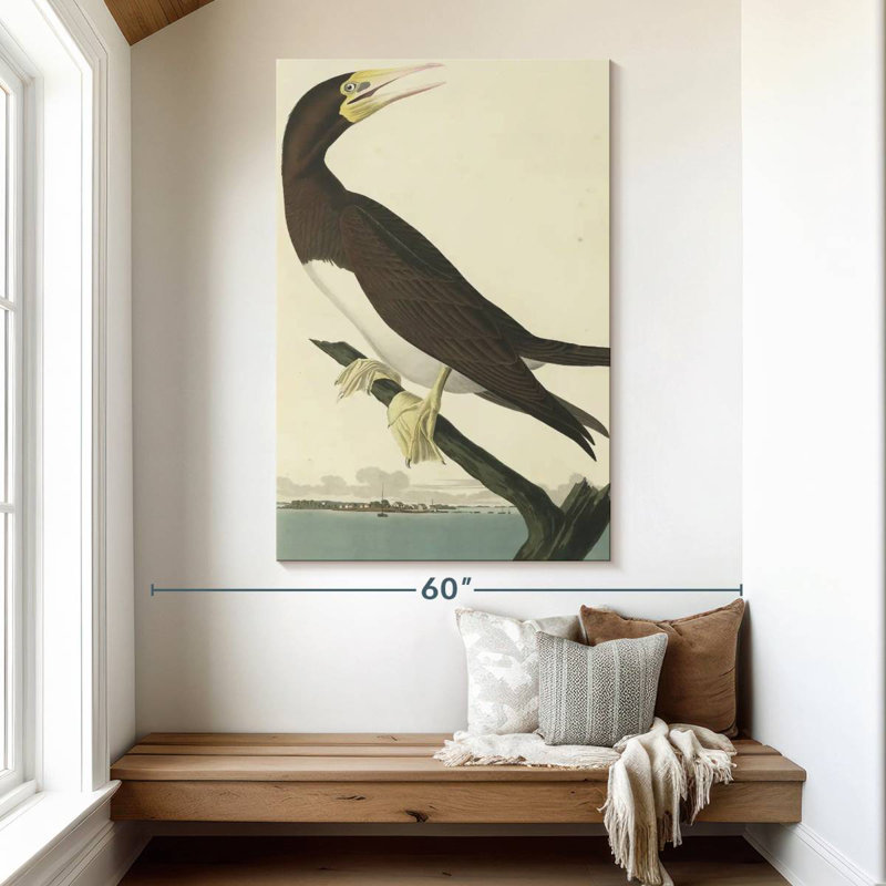 Brampt Booby Gannet, 51" H x 34" W